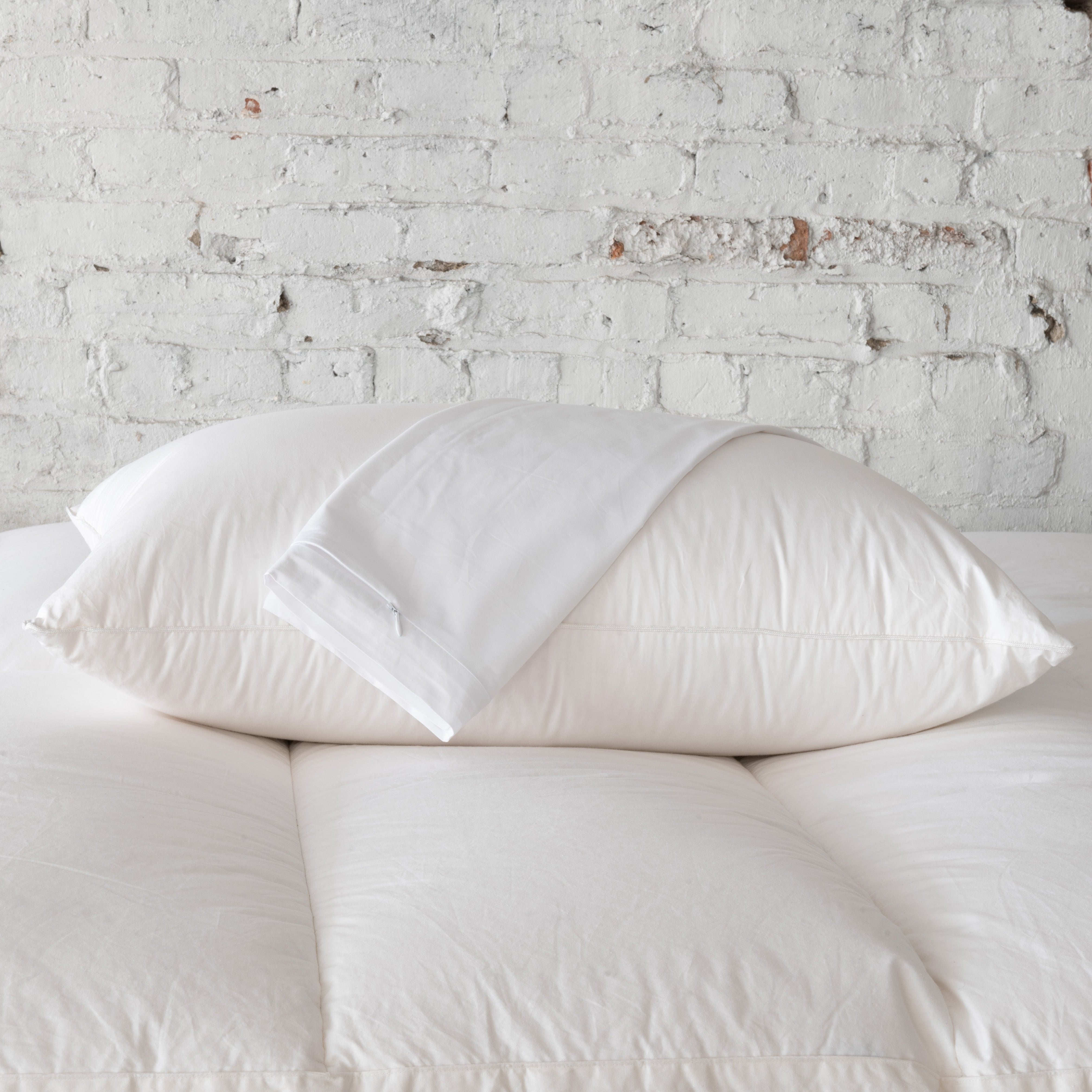 Pillow Protector Dust Mites In Pillows Allergy Cotton Pillow Protector