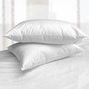 Hudson Bay Wild Goose Down Pillow-1