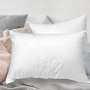 Eiderdown Pillow-1